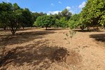 Thumbnail 1 van Finca zum kauf in Denia / Spanien #59042