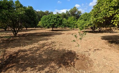 Finca zum kauf in Denia / Spanien