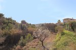Thumbnail 1 van Grundstück zum kauf in Benissa / Spanien #58118