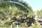 Thumbnail 4 van Grundstück zum kauf in Jávea / Spanien #58912