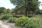 Thumbnail 10 van Grundstück zum kauf in Jávea / Spanien #58943