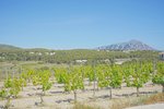 Thumbnail 51 van Villa zum kauf in Benitachell / Spanien #61288