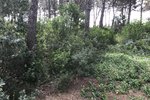 Thumbnail 5 van Grundstück zum kauf in Jávea / Spanien #43741