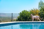 Thumbnail 51 van Villa zum kauf in Jávea / Spanien #62222