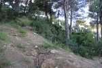 Thumbnail 2 van Grundstück zum kauf in Jávea / Spanien #60220