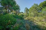 Thumbnail 7 van Grundstück zum kauf in Jávea / Spanien #59062