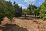 Thumbnail 7 van Finca zum kauf in Denia / Spanien #59042