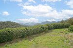 Thumbnail 43 van Villa zum kauf in Gata De Gorgos / Spanien #60012