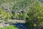 Thumbnail 46 van Villa zum kauf in Altea / Spanien #59589
