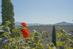 Thumbnail 80 van Villa zum kauf in Benissa / Spanien #59949