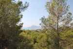 Thumbnail 8 van Grundstück zum kauf in Altea / Spanien #42300