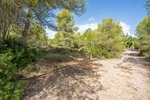 Thumbnail 3 van Grundstück zum kauf in Jávea / Spanien #59059