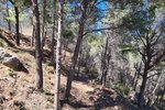 Thumbnail 4 van Grundstück zum kauf in Calpe / Spanien #47537