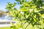 Thumbnail 50 van Villa zum kauf in Denia / Spanien #60465