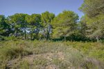 Thumbnail 3 van Grundstück zum kauf in Jávea / Spanien #59062