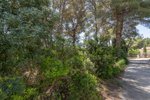 Thumbnail 5 van Grundstück zum kauf in Jávea / Spanien #59026