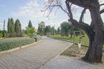 Thumbnail 62 van Villa zum kauf in Jávea / Spanien #59743