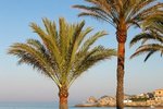Thumbnail 25 van Villa zum kauf in Jávea / Spanien #53094