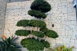 Thumbnail 19 van Villa zum kauf in Benissa / Spanien #53450