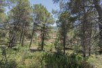Thumbnail 26 van Villa zum kauf in Alcalali / Spanien #60520