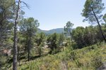 Thumbnail 25 van Villa zum kauf in Alcalali / Spanien #60520
