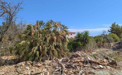 Grundstück zum kauf in Denia / Spanien