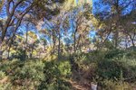 Thumbnail 9 van Villa zum kauf in Moraira / Spanien #60356