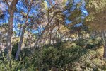 Thumbnail 7 van Villa zum kauf in Moraira / Spanien #59255