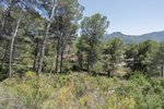 Thumbnail 28 van Villa zum kauf in Alcalali / Spanien #60520