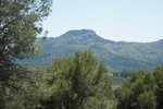 Thumbnail 21 van Villa zum kauf in Alcalali / Spanien #60520