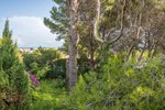 Thumbnail 1 van Grundstück zum kauf in Jávea / Spanien #59058