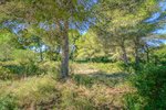 Thumbnail 2 van Grundstück zum kauf in Jávea / Spanien #59062