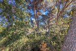 Thumbnail 5 van Villa zum kauf in Moraira / Spanien #59255