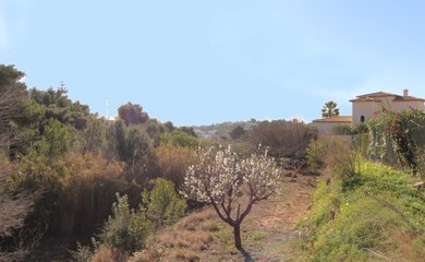 Grundstück zum kauf in Benissa / Spanien