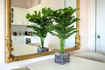 Thumbnail 17 van Appartement zum kauf in Altea / Spanien #59936