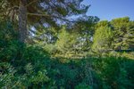 Thumbnail 11 van Grundstück zum kauf in Jávea / Spanien #59062