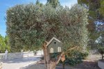 Thumbnail 53 van Villa zum kauf in La Nucia / Spanien #59283