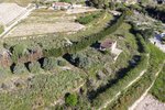 Thumbnail 14 van Villa zum kauf in Teulada / Spanien #59965