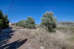 Thumbnail 9 van Finca zum kauf in Moraira / Spanien #61170
