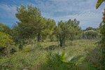 Thumbnail 23 van Villa zum kauf in Benitachell / Spanien #59117