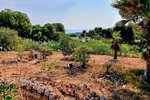 Thumbnail 5 van Grundstück zum kauf in Moraira / Spanien #59498