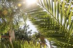 Thumbnail 121 van Villa zum kauf in Jávea / Spanien #60034