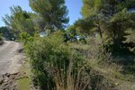 Thumbnail 4 van Grundstück zum kauf in Jávea / Spanien #60252