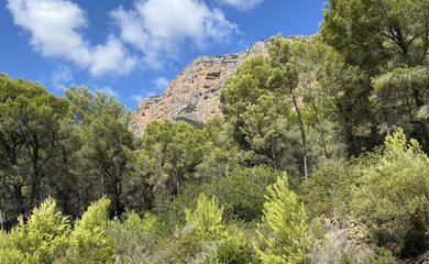 Grundstück zum kauf in Jávea / Spanien