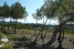 Thumbnail 8 van Grundstück zum kauf in Moraira / Spanien #58944