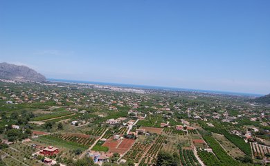 Grundstück zum kauf in Pedreguer / Spanien