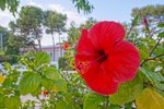 Thumbnail 119 van Villa zum kauf in Denia / Spanien #59294