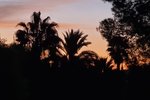 Thumbnail 60 van Villa zum kauf in Jávea / Spanien #61324