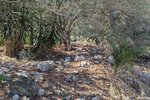 Thumbnail 9 van Grundstück zum kauf in Denia / Spanien #59338