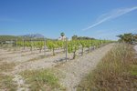 Thumbnail 11 van Villa zum kauf in Benitachell / Spanien #61288